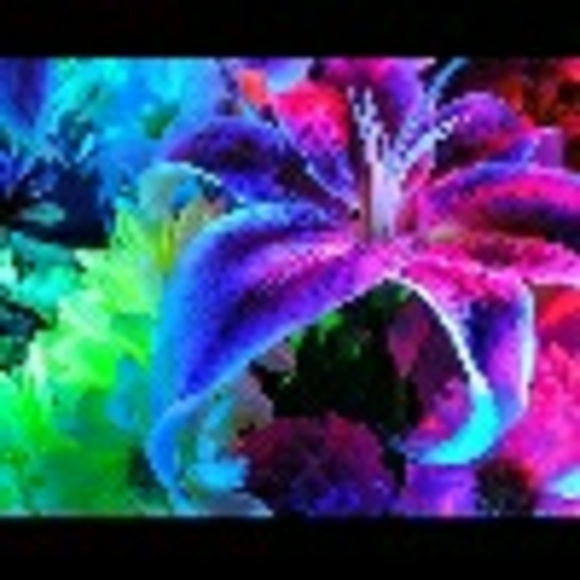 smeyely