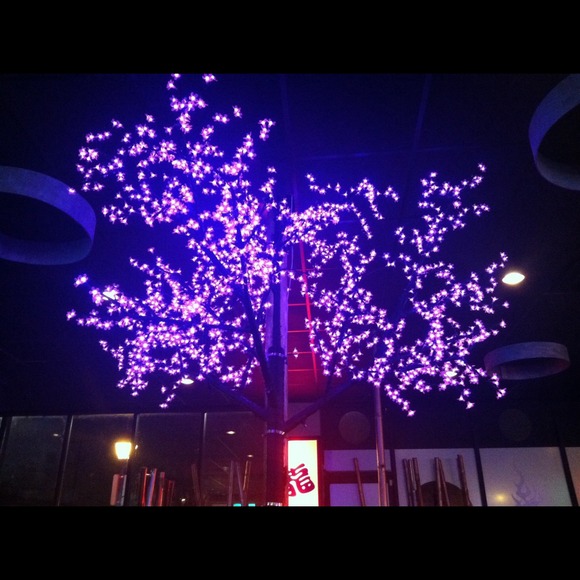 bugs6