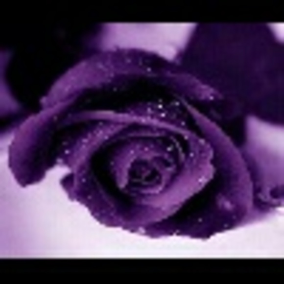misszz