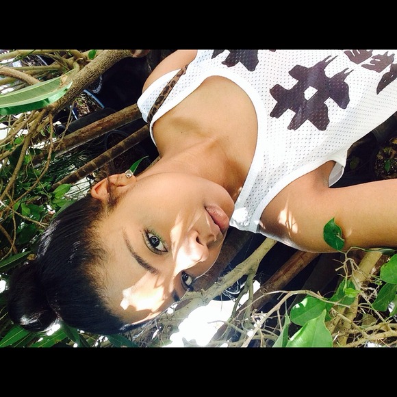 hippydippy