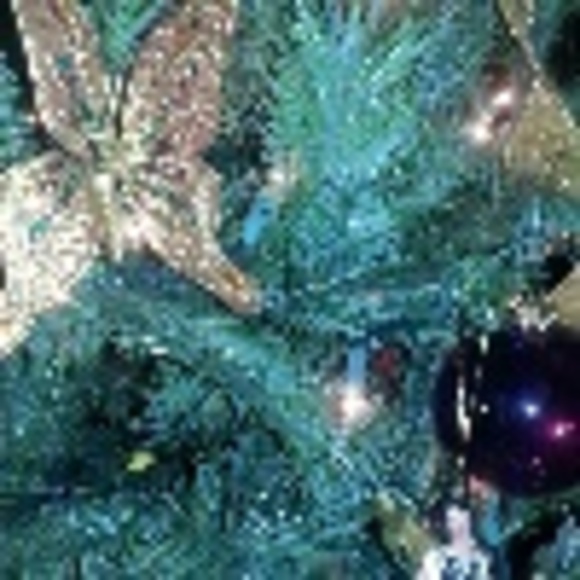 pam_benson45