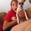 soccerbeast