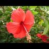 erykah1022