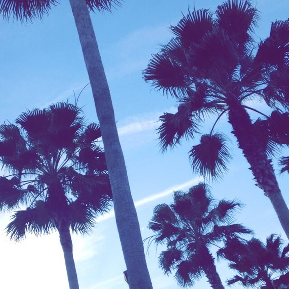 sydniesmith_