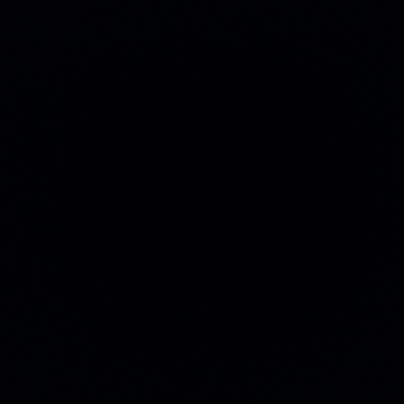 sashawhile6