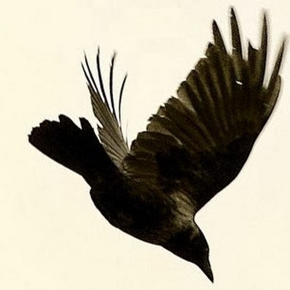 pixielala