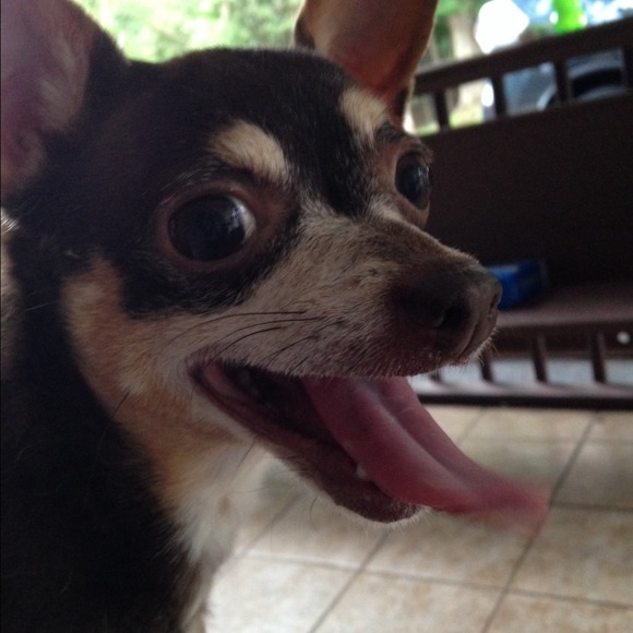 millyghf
