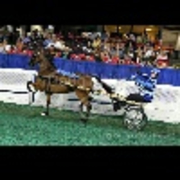 3gaited
