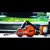 laurr55