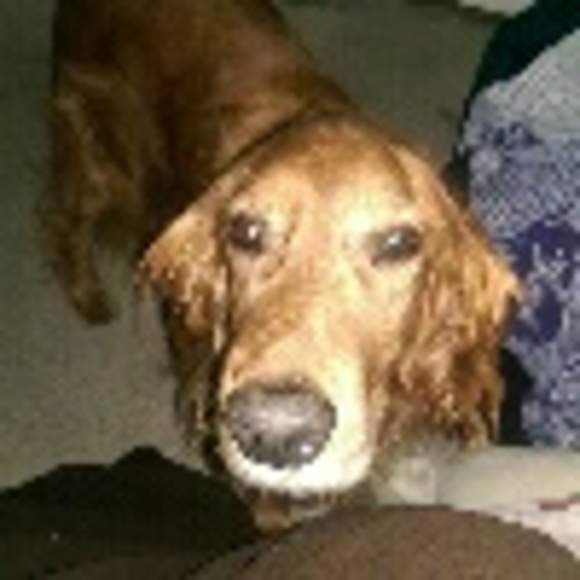 millie95973
