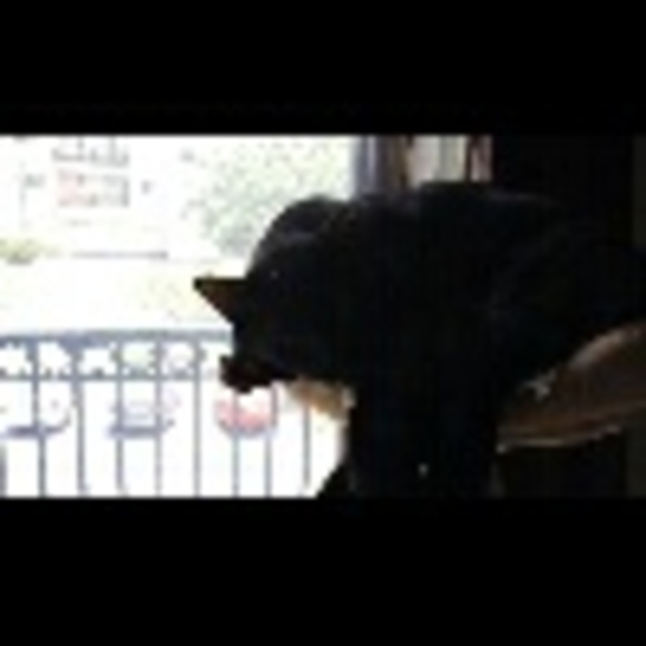 coopburgh73