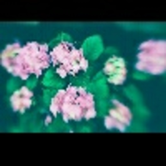 trezherrr