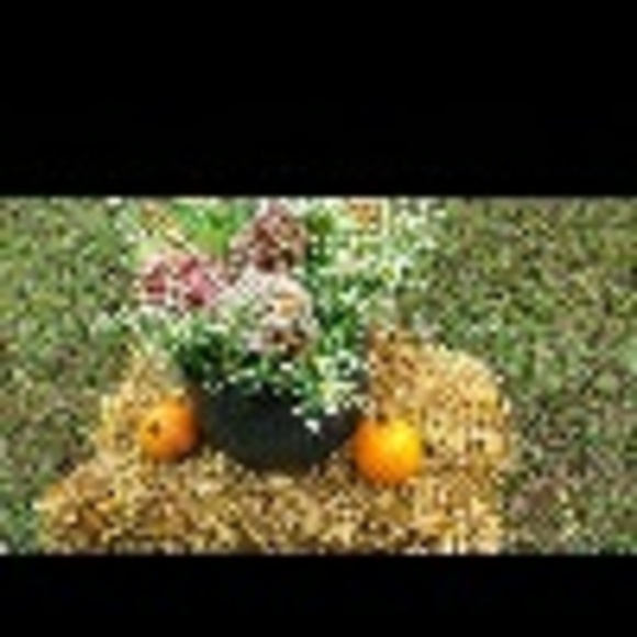 hiddenview
