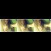 lanadelrey11