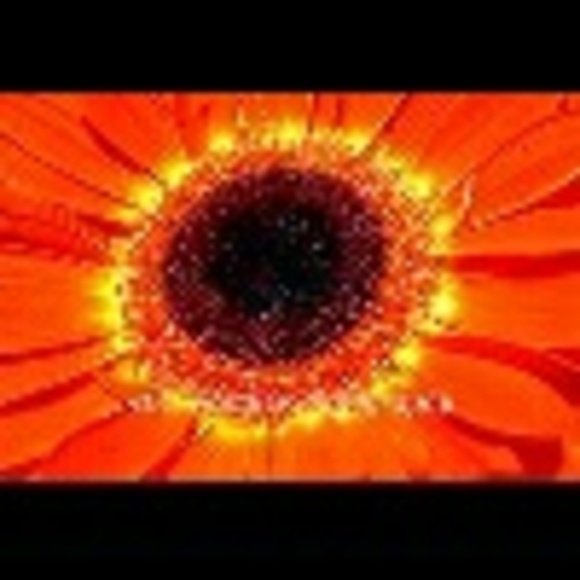 sparklel67