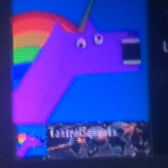 cfhvdgbv