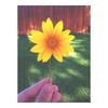 floralfash