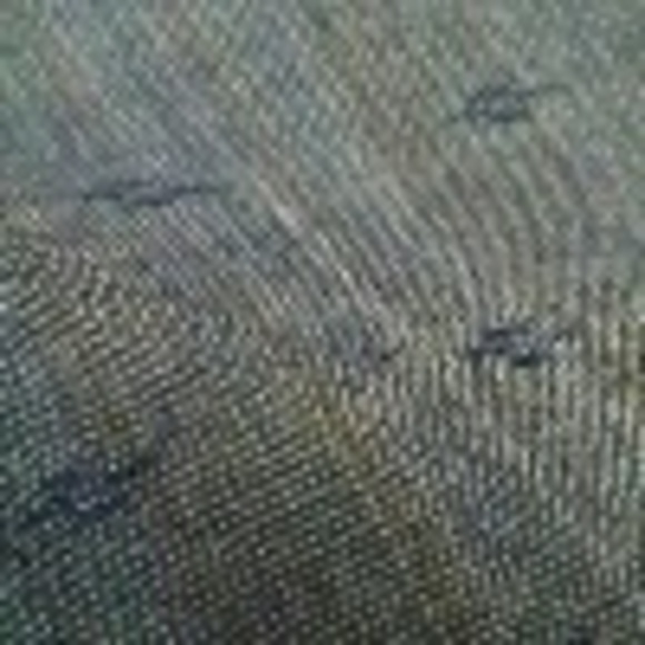 jay7777