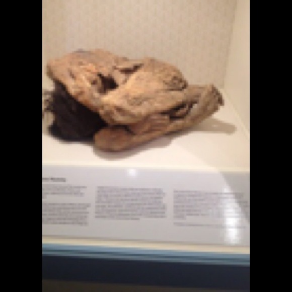 brucebur