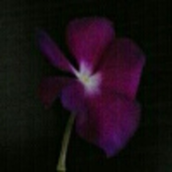 justselling28