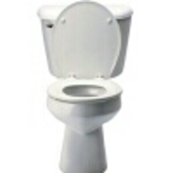Poshmark profile picture for @toilet