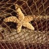 starfisher