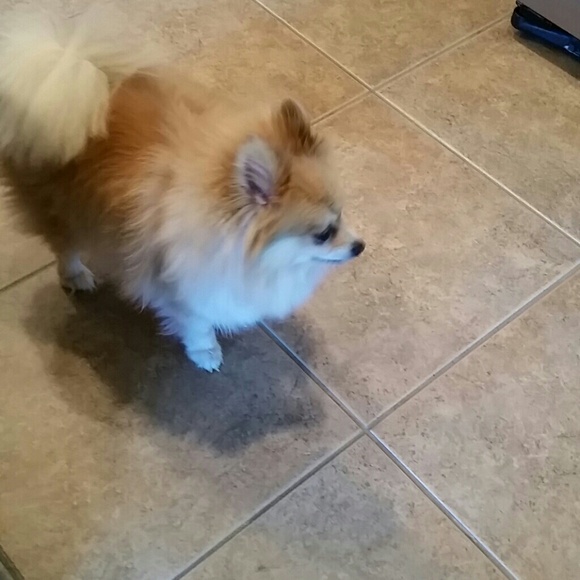 annieanniemh