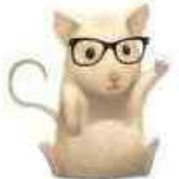 citymouse