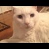 suehart81