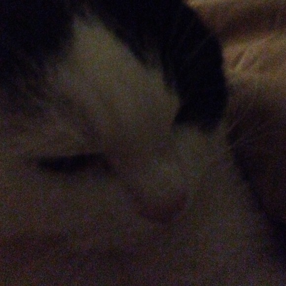 meriggs