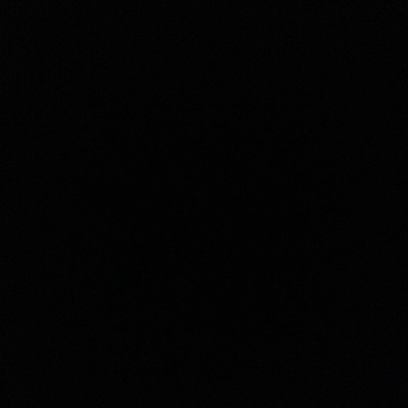 jernst
