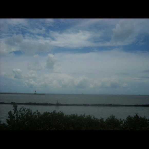waterfhin