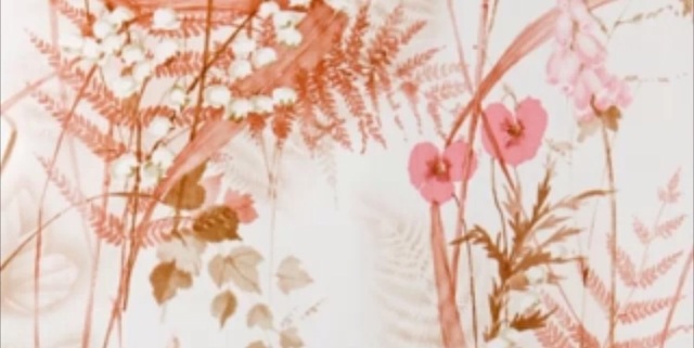 Poshmark banner for @rekindled