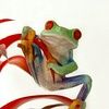newnanfrog