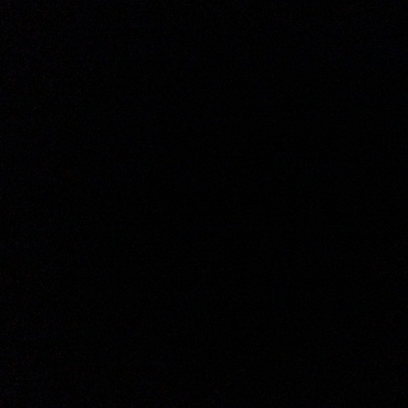 vee497