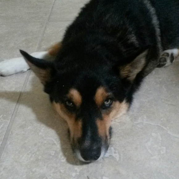 andino