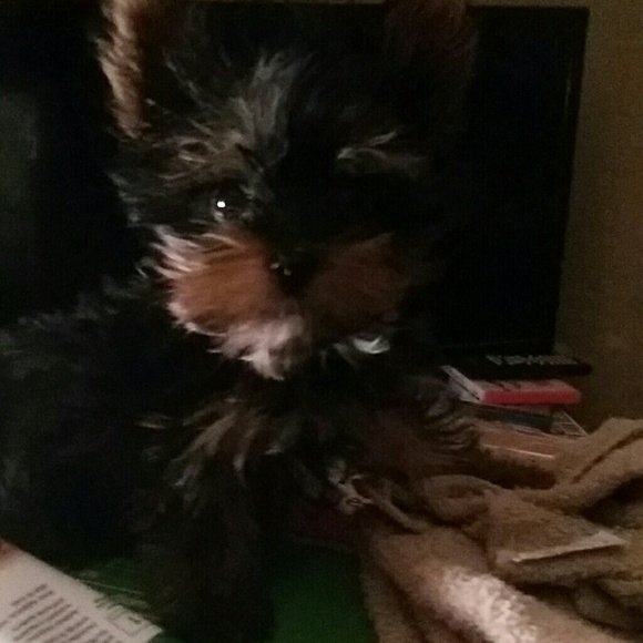 littlericky2014
