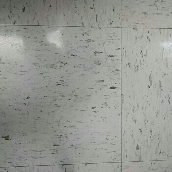 ridavis