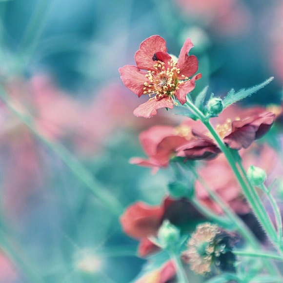 inthecloudsx
