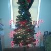 tosha29