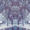sydness54