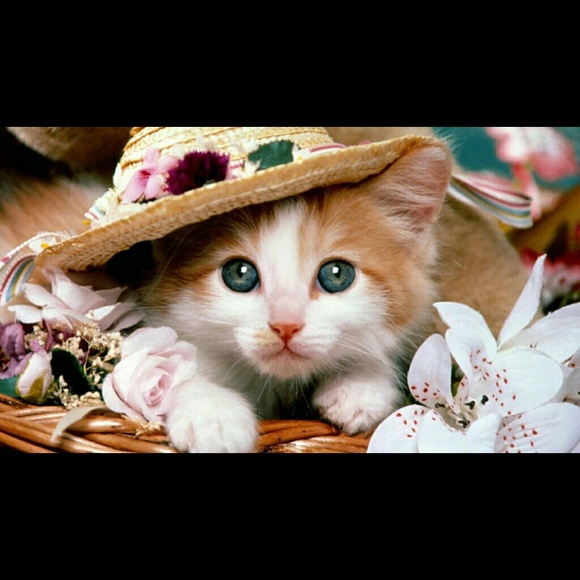 kittie12