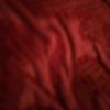 kelly_seewnanan