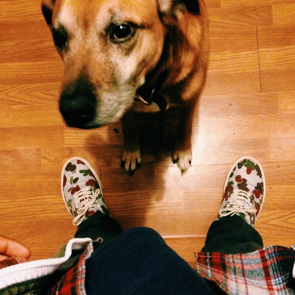 junebug_
