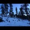 bnelson04
