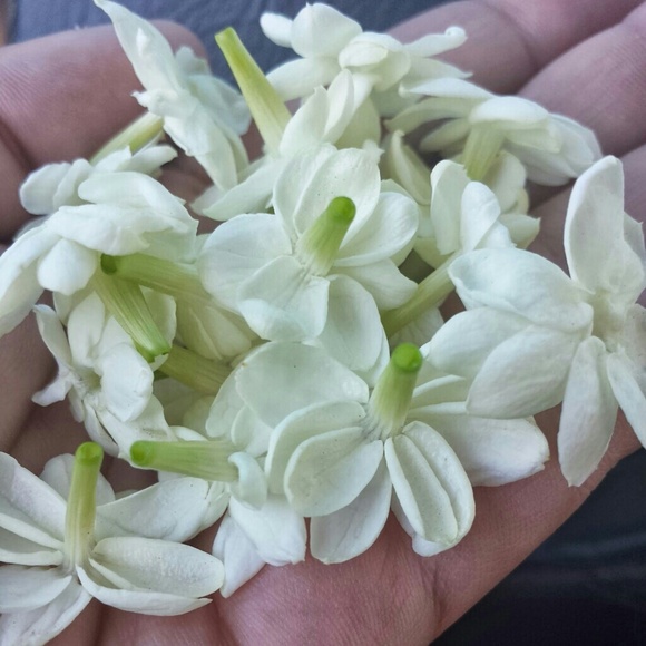 closetdecoco