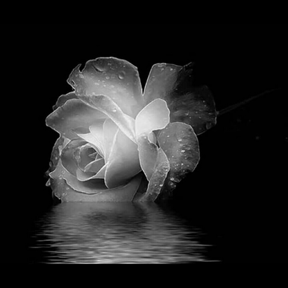 flores12345