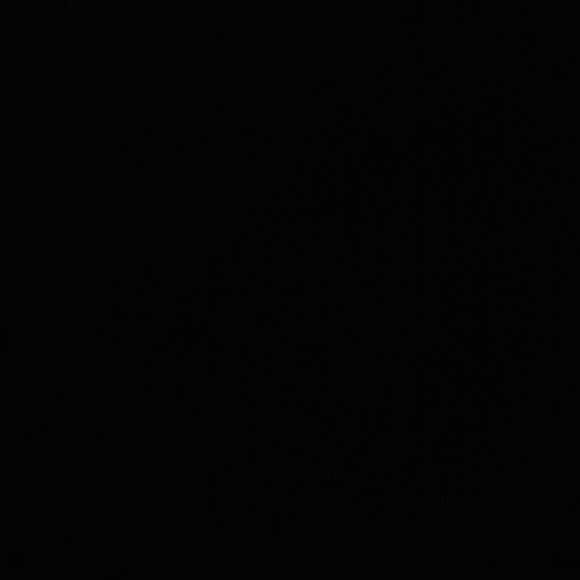 fjsvj