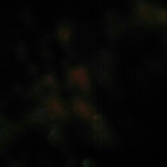 ldutter