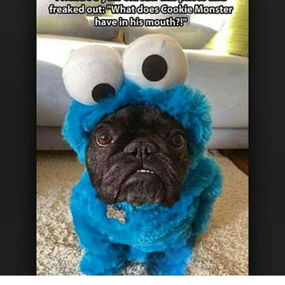 blekis